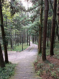 牯岭鎮の別荘地22