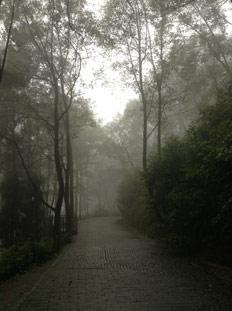 重慶国民政府幹部の邸宅群へと続く林間の小道
